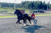Monster Magi sommar 2025