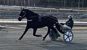Myllkärrs Jenny mars 2025