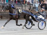 Monster Merete - Derbyvinnare!