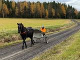 Monster Myt 18 oktober 2024